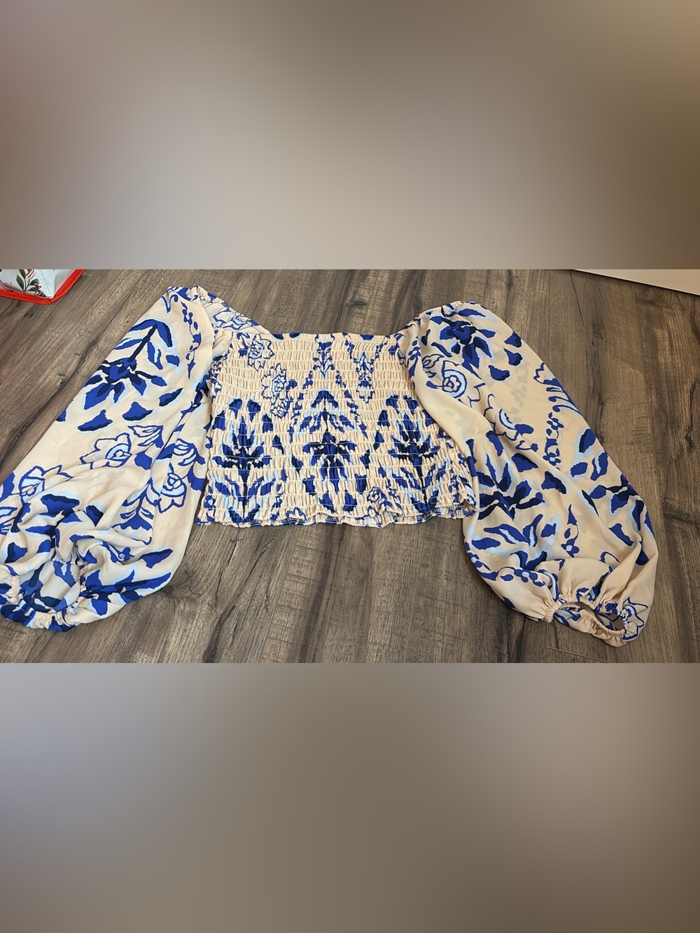 Sienna Sky Blue and Cream Smocked Puff Sleeve Long Sleeve Top